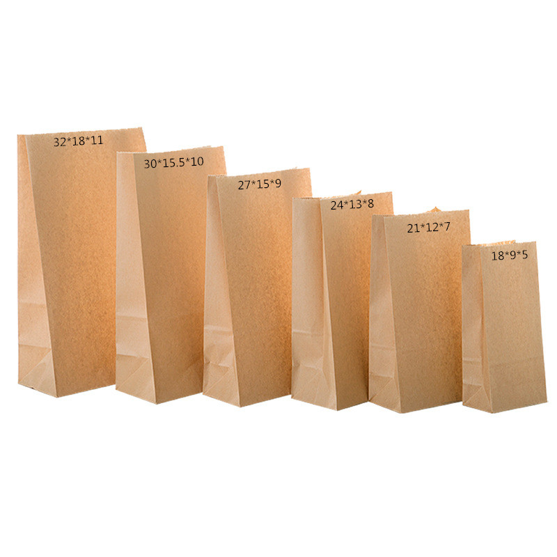 Customized Design Recyclable Biodegradable Plain Packaging Brown Kraft Shopping Paper Bags with Twisted Handles